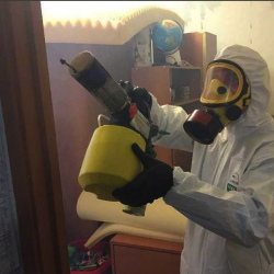Уничтожение клопов в квартире. Поливаново